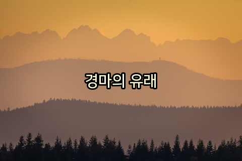 경마초보로소 꼭 알아야 할것